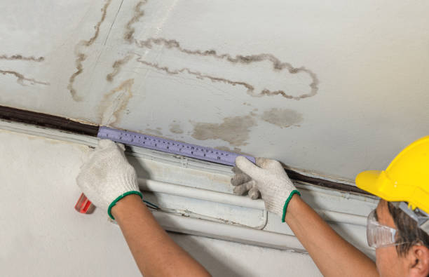 Reliable Mold Remediation contractor in Shamrock, TX by Water Damage Irwin